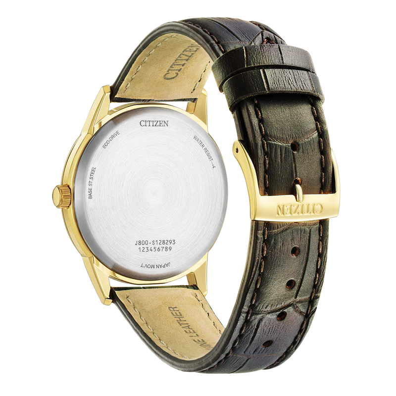 Citizen Eco-Drive Watch, AW0102-13A
