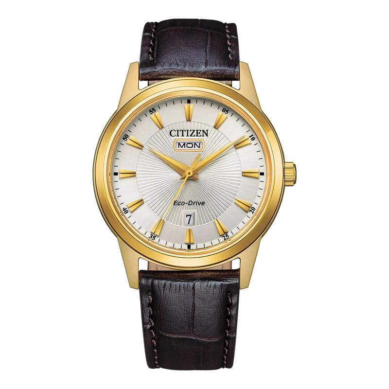 Citizen Eco-Drive Watch, AW0102-13A