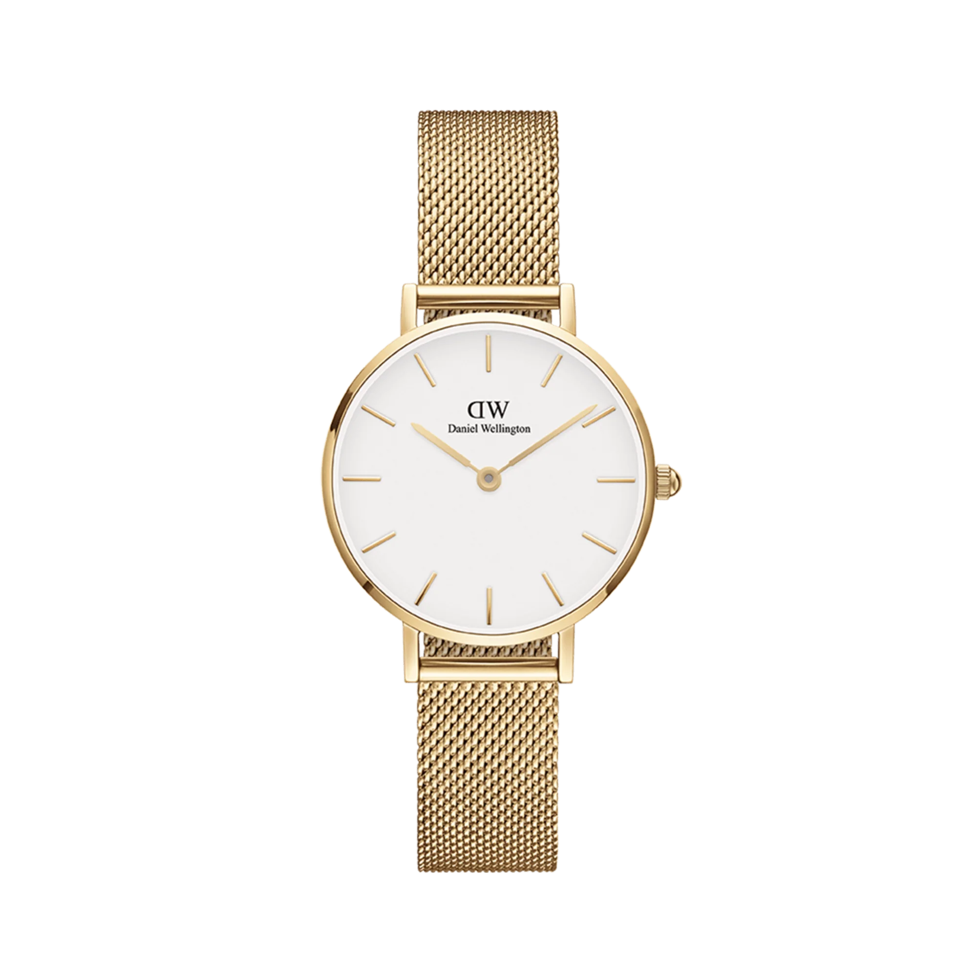 Daniel Wellington Petite 28 Evergold Watch