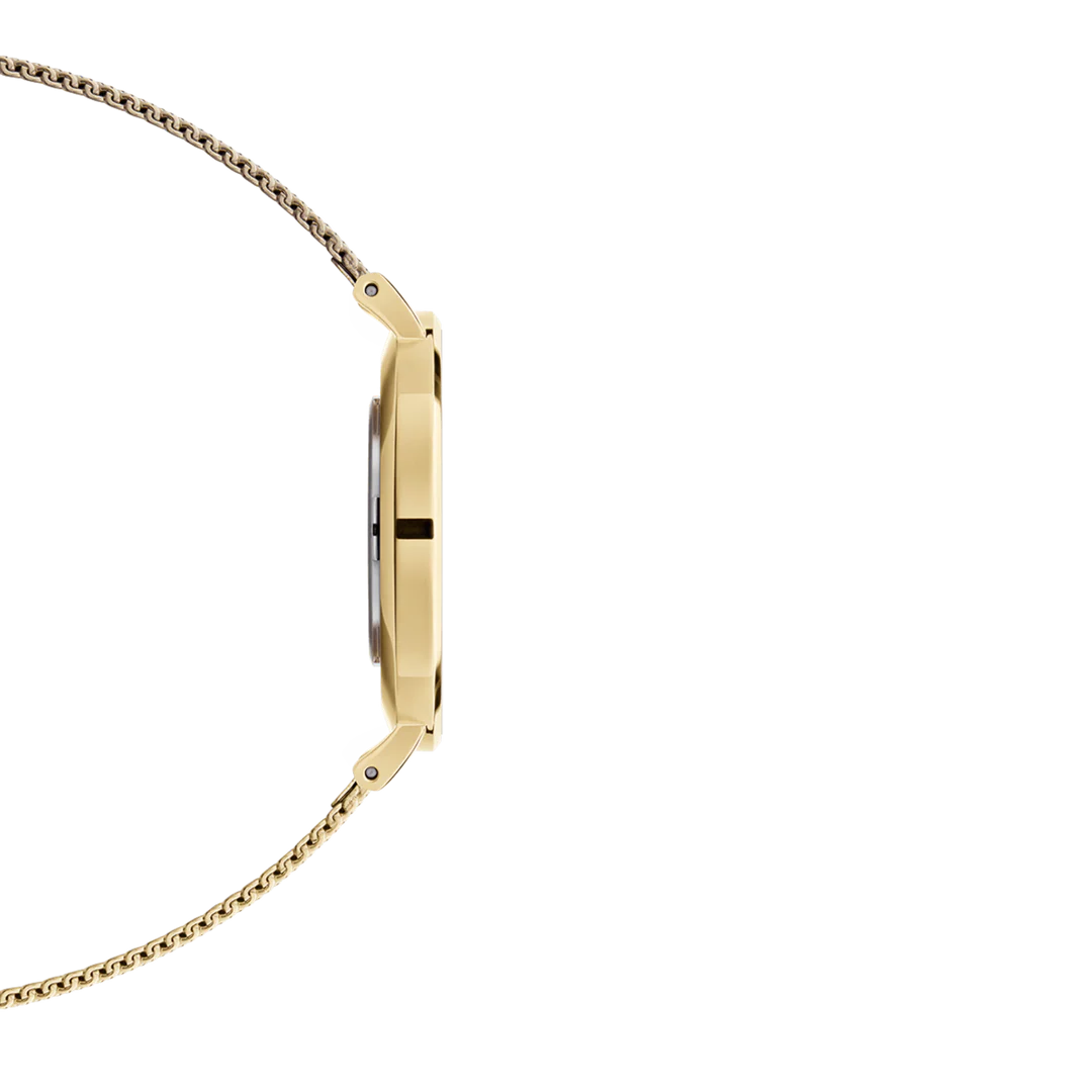 Daniel Wellington Petite 28 Evergold Watch