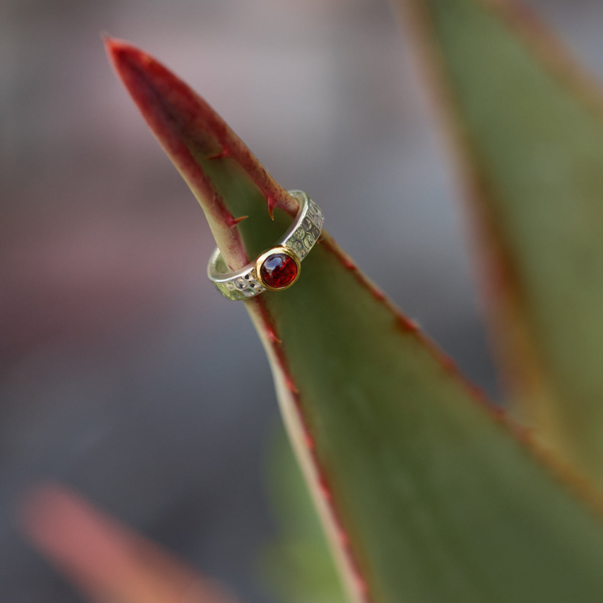 Najo Solace Ring
