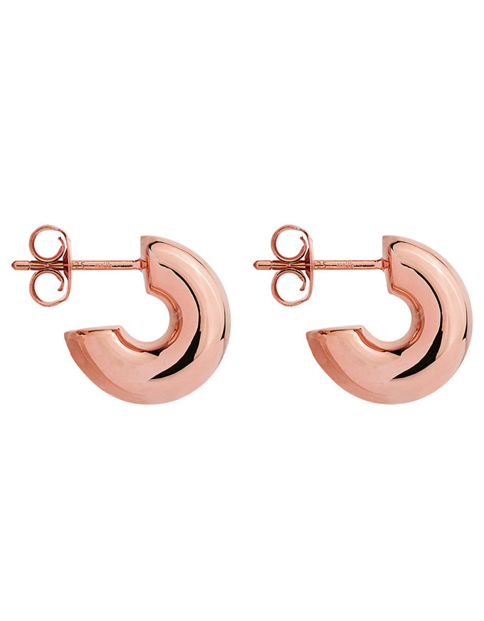 NAJO Moonbow Stud Rose Earrings