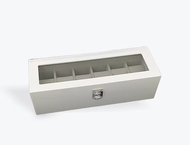 White Watch Box