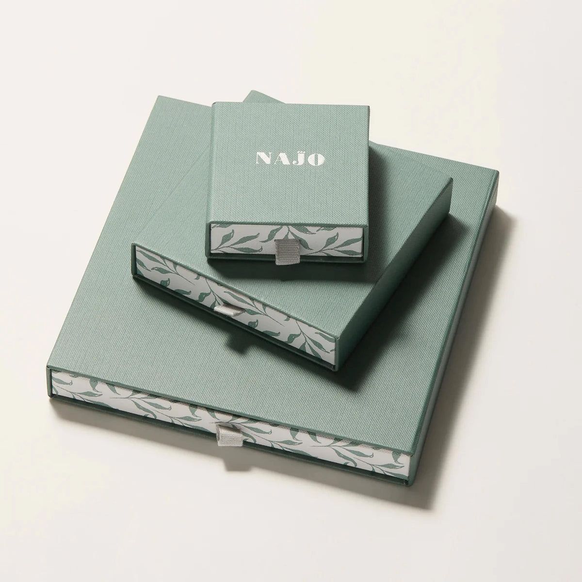 NAJO Raya Narrow Silver Ring