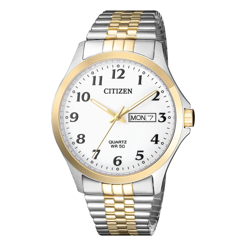 Citizen Classic Dual Toned Watch, BF5004-93A