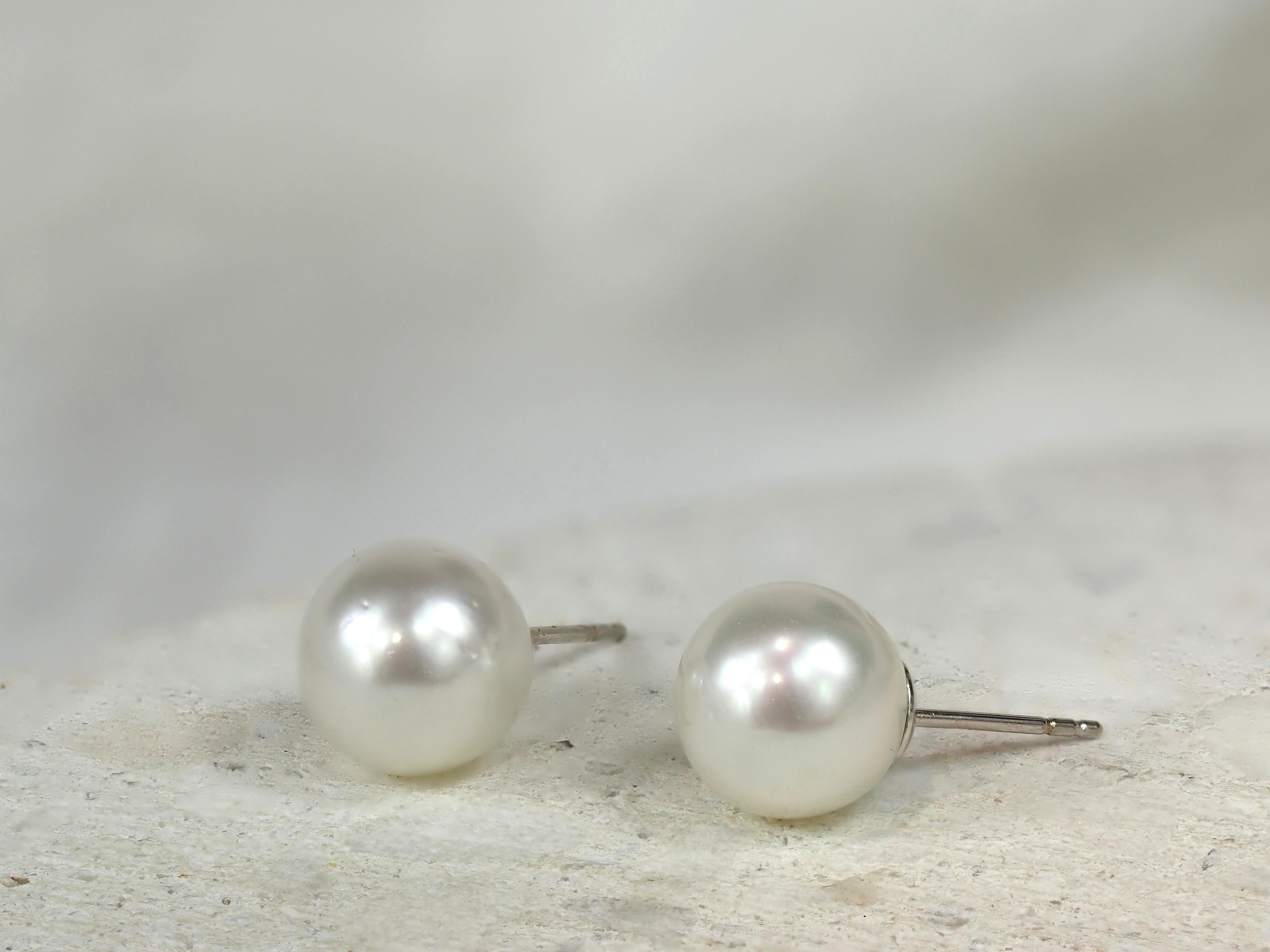 Autore 18ct White Gold South Sea Pearl Stud Earrings, 10mm
