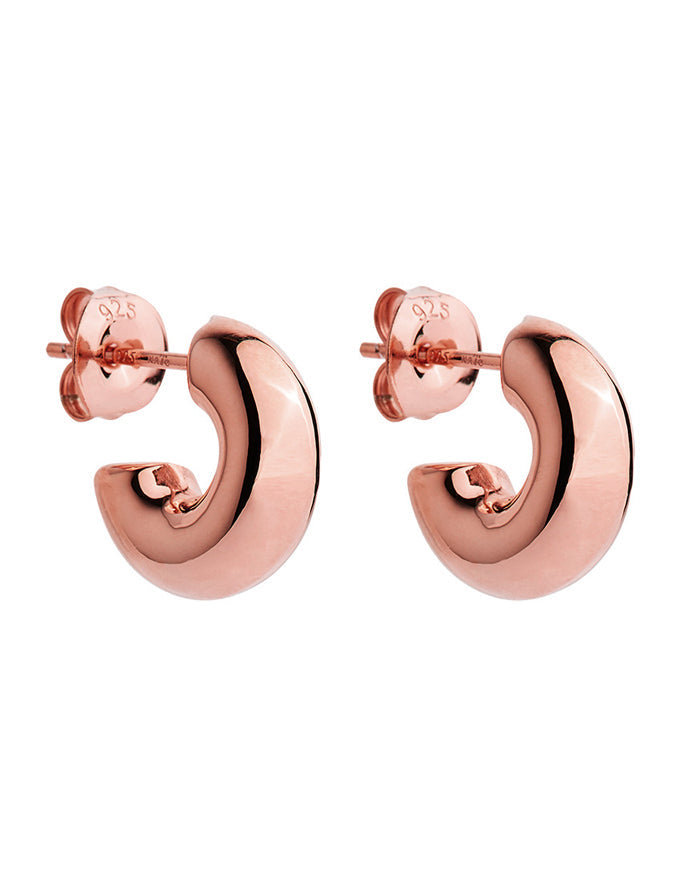 NAJO Moonbow Stud Rose Earrings