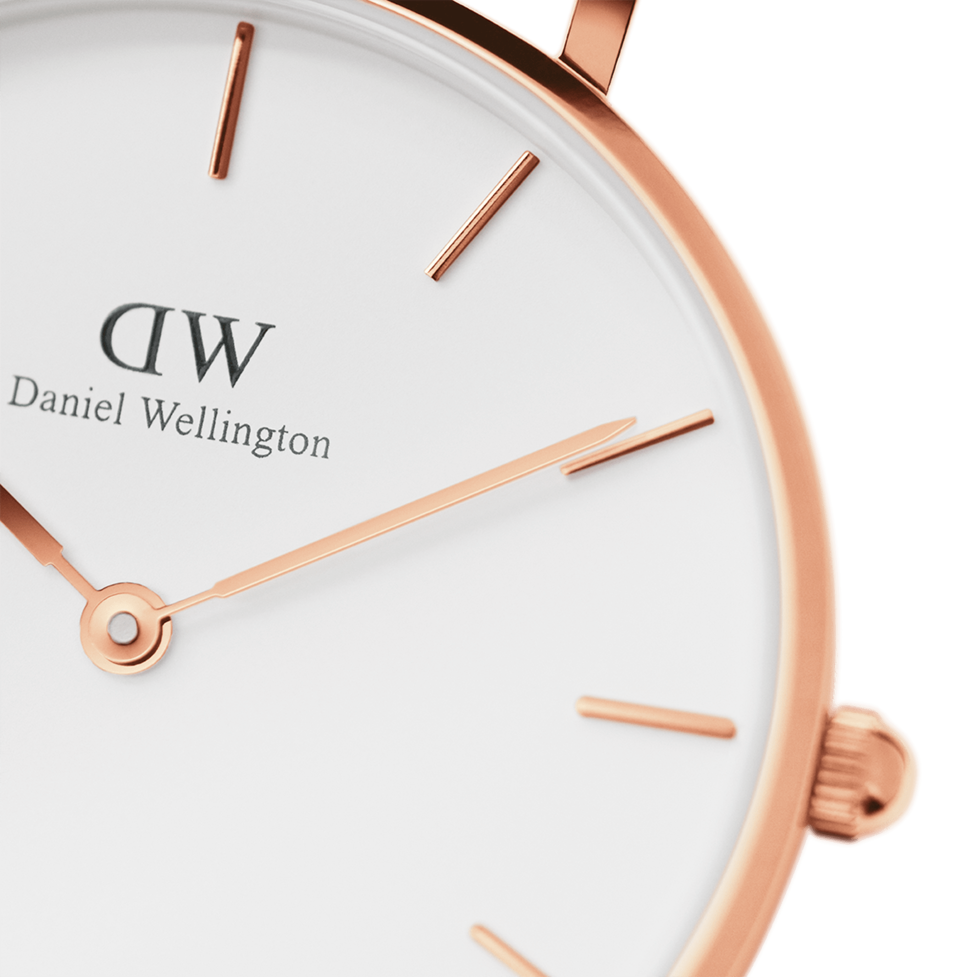 Daniel Wellington Petite 36 Rosewater Rose Gold & White Watch